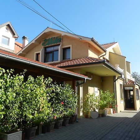 Guesthouse Ellite โปชาเรวัซ ภายนอก รูปภาพ